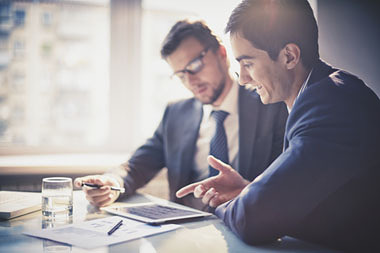 <strong> Consulting</strong>Consultancy and professional services