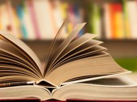 FM chronicle to be released in 2017